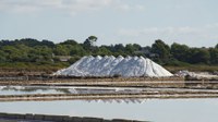 Extraction of non-living resources