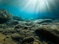 Physical restructuring of rivers, coastline or seabed