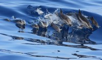 EU Mission “Restore our Oceans and Water”