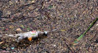 Marine litter