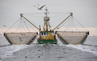 Physical loss and disturbance of the seabed