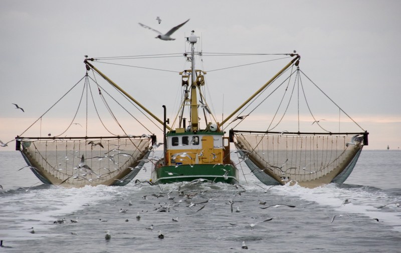 Physical loss and disturbance of the seabed Physical loss and disturbance of the seabed
