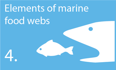 Descriptor 4: Elements of food webs ensure long-term abundance and reproduction