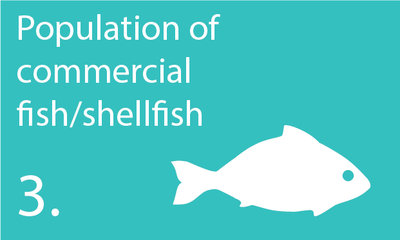 Descriptor 3: The population of commercial fish species is healthy
