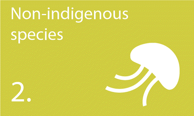 Descriptor 2: Non-indigenous Species do not adversely alter the ecosystem