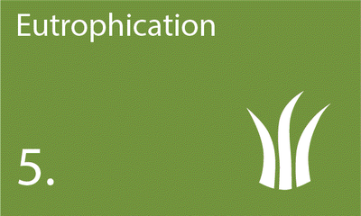 Descriptor 5: Eutrophication is minimised