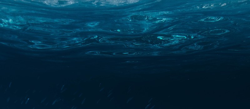 Expert dashboards on marine features under other policies