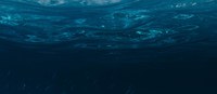 Other data infrastructures and tools